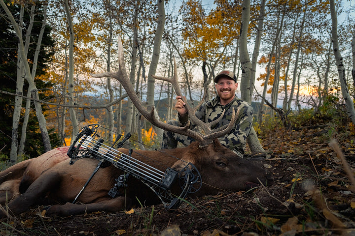 MicroHex™ Hunting Stabilizers – Bee Stinger